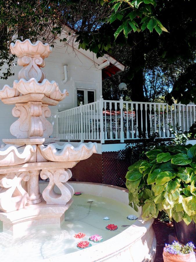 Bungalows & Albergue La Playa 洛格罗尼奥 外观 照片