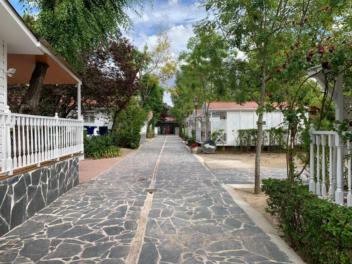 Bungalows & Albergue La Playa 洛格罗尼奥 外观 照片